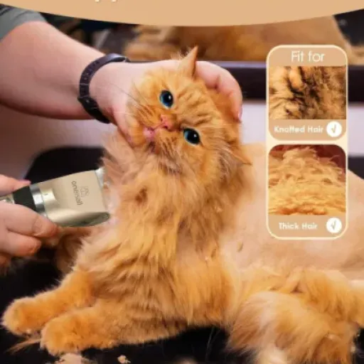 Avis oneisall Tondeuse pour chats poils emmêlés : la tondeuse abordable qui vise le toilettage maison