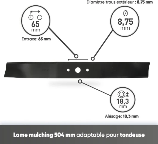 61rths2Ol5L._AC_SL1500_