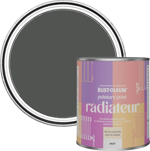 Rust-Oleum Peinture Grise Résistante à la chaleur pour Radiateur, Finition Mate - Graphite 750ml
