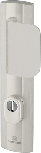 Bricard 9910071 Ensemble de Poignées Blindées sur Plaque Expression Palière Béquille + Aileron pour Porte d’Entrée (pour Cylindre Européen), Coloris Argent Béquille+Aileron Argent