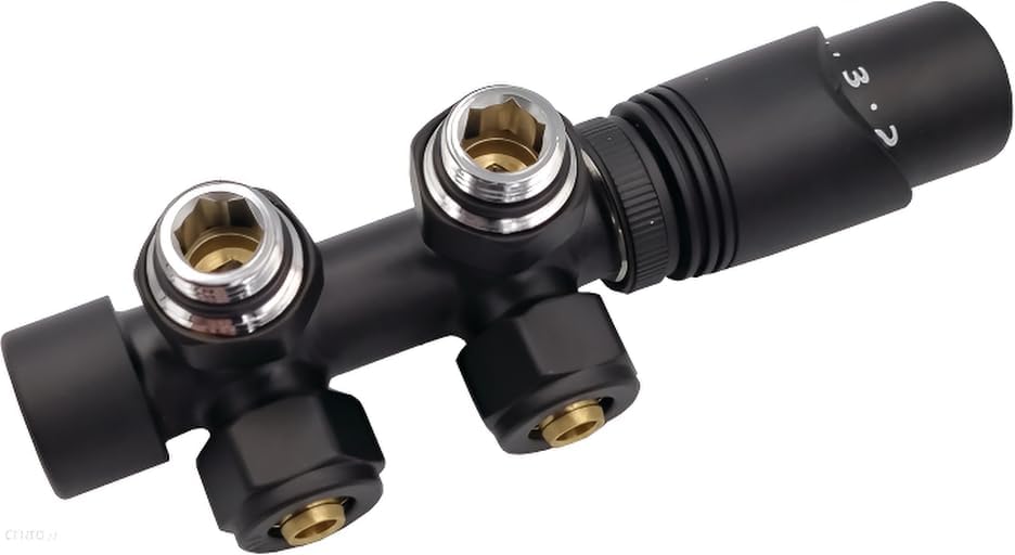 Kit multibloc pour radiateur - Robinet de raccordement avec thermostat - Noir Tapis Noir