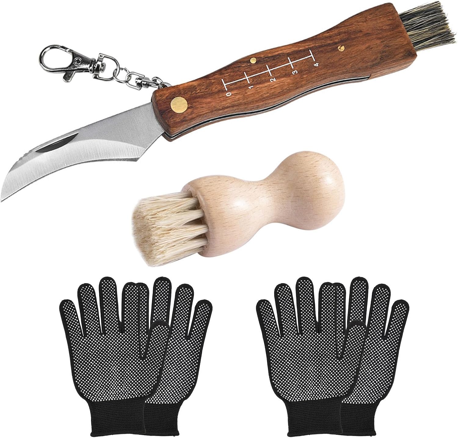 DAGORD Couteau à champignons avec brosse et règle, couteau de poche, couteau pliant en acier inoxydable, couteau à champignons pour truffes aux champignons, couteau à champignons avec des gants