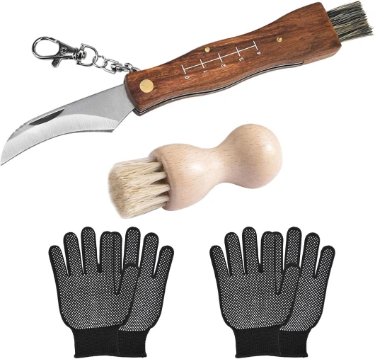 DAGORD Couteau à champignons avec brosse et règle, couteau de poche, couteau pliant en acier inoxydable, couteau à champignons pour truffes aux champignons, couteau à champignons avec des gants