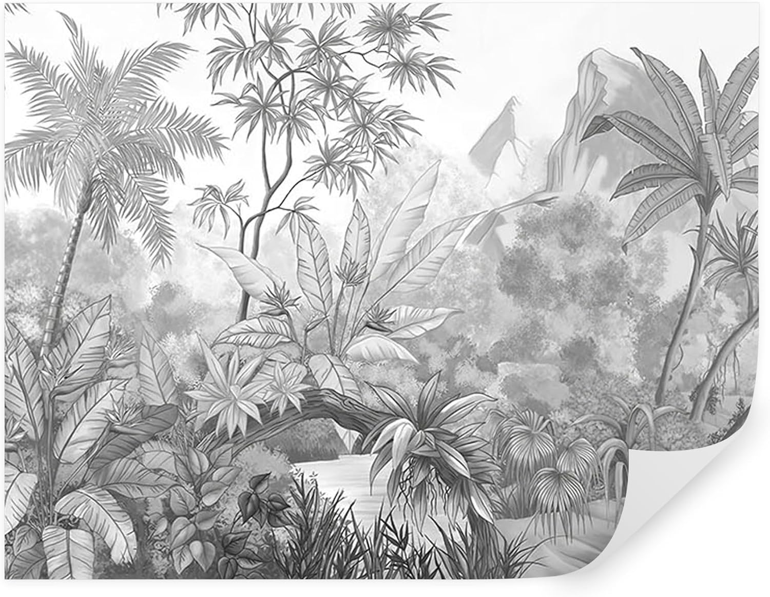 Papier Peint Panoramique Elégant Tropiques 260x180 cm Jungle style en noir et blanc couleur Papier Peint intissé pour Chambre Salon Décoration Murale u99099 260 x 180 cm #10