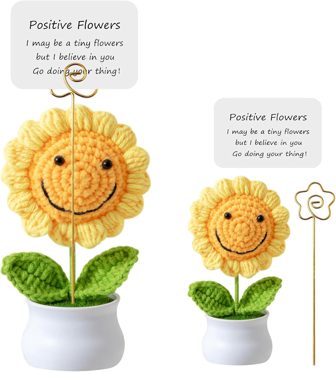 AIMUMEIF Porte Bonheur Fleurs,Cadeau De Courage Femme Cadeau Amie Cadeaux De Motivation Cadeau Persévérance Cadeaux d'encouragement pour Collègues