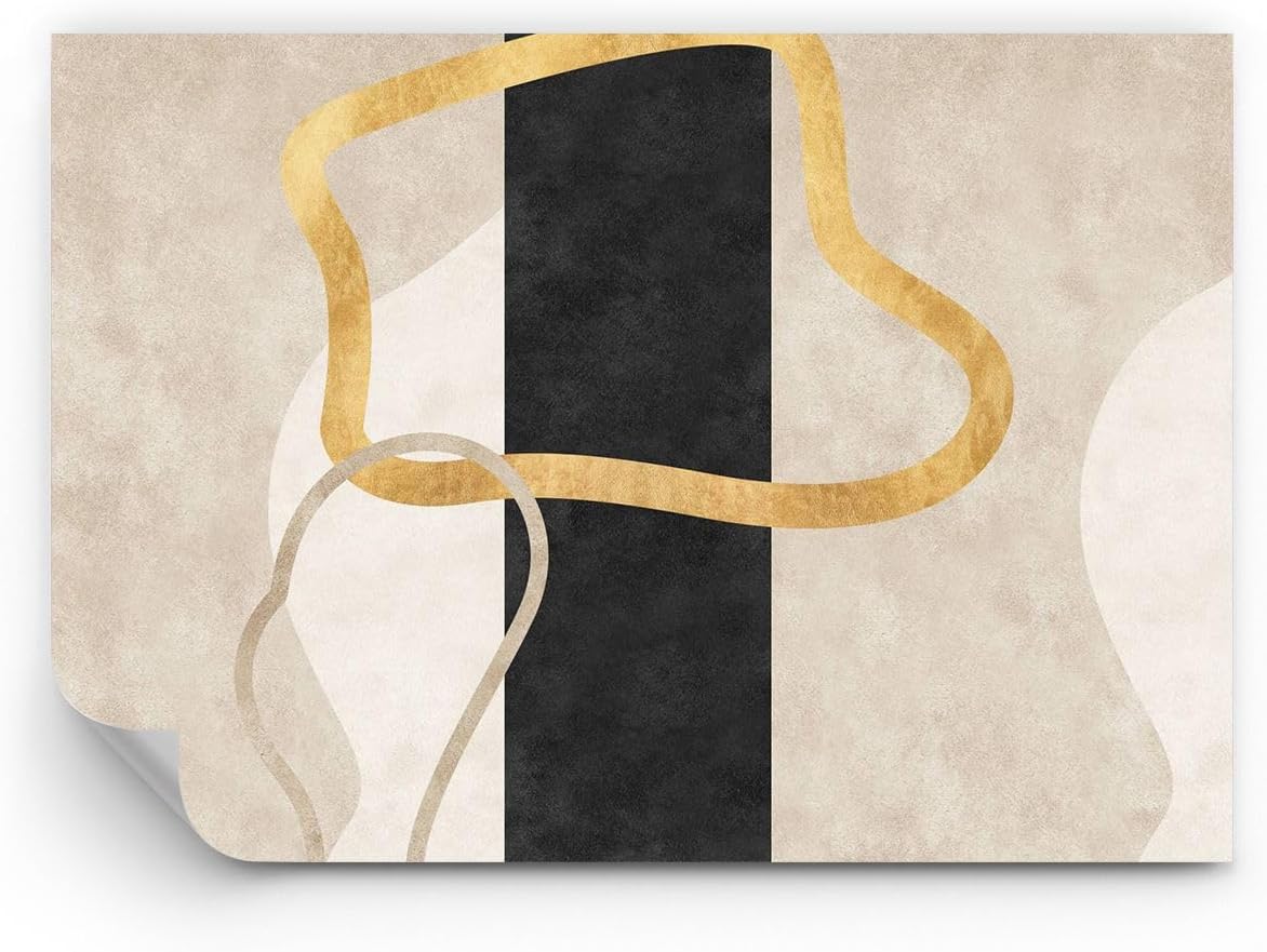 Papier Peint Panoramique en vinyle Premium Canvas - Art Déco Minimalisme Abstractionnisme - 100x70 cm - Revêtement mural décoration Moderne Décoration Wallpaper Salon Chambre - WF3AA100x70-5908 5908 70L x 100l cm