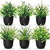 Betylifoy Plantes Artificielles en Pot Mini 6PCS Petites Fausses Plantes Verdure Décor Intérieur Plante Eucalyptus Fausses Plantes en Plastique pour Bureau Maison Salle de Bain (6, Pot Noir) Pot Noir 6