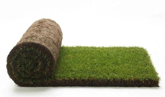 Vraie pelouse herbe 1 m² prêtes à rouleaux de 1 ^ choix en herbe naturelle (2 rouleaux)