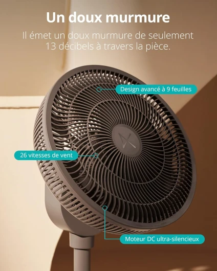 81wIO5Sk6rL._AC_SL1500_