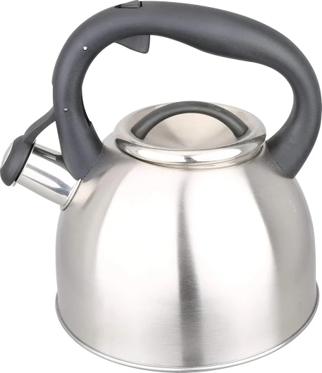 Théière Bouilloire sifflante 3 litres - Acier inoxydable - Poignée ergonomique - Tous Feux dont Induction - 0008114, Gris Epuré