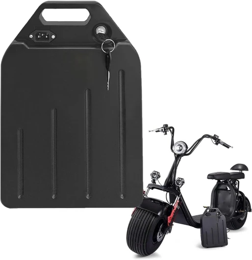 60V 20Ah pour Citycoco Gros Pneu Scooter électrique Batterie Lithium-ION li ION Deux Roues Scooter électrique vélo avec BMS et Chargeur pour Moteur 1500W 1000W