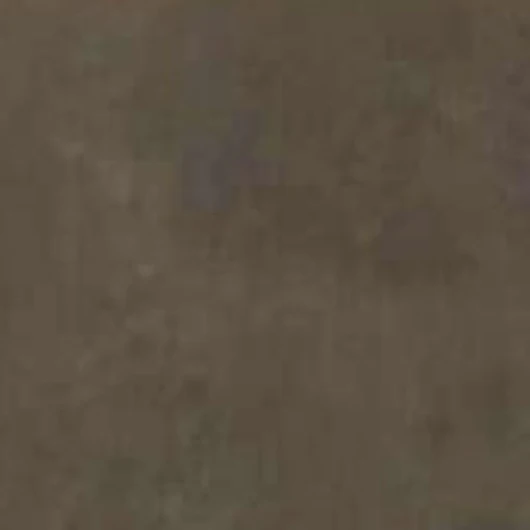 41aRWo4TWAL._AC_SL1000_