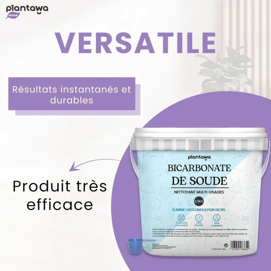 71pOGrT7sbL._AC_SL1500_