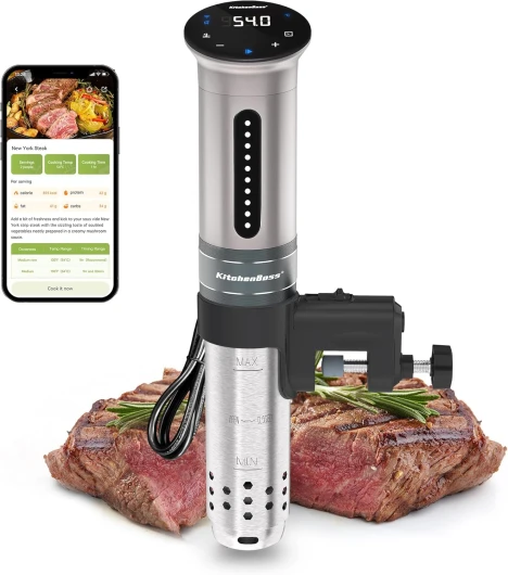 Thermoplongeur Wi-Fi Cuisson Sous Vide: 1100W Cuiseur Sous Vide IPX7 Imperméable à l'eau d'Immersion de Cuisinière Thermostat Réglable LED Thermo Plongeur