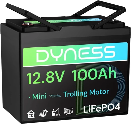 Dyness Batterie Lithium 12V 100Ah Mini LiFePO4 pour Camping-Car avec BMS 100A, Protection Basse Température, 12V Lithium Batterie pour Systèmes Solaires, Caravane, Bateau, Maison, Camping 12V 100Ah Mini TM