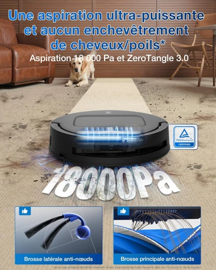 81pxWU89FjL._AC_SL1500_
