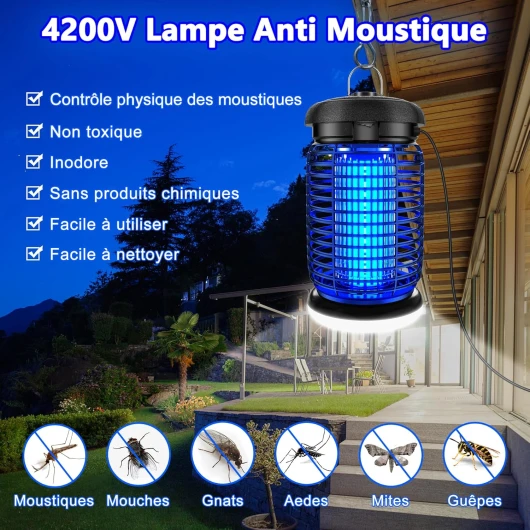 812iQEkp4UL._AC_SL1500_