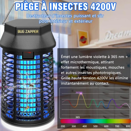 81UrHf5xY6L._AC_SL1500_