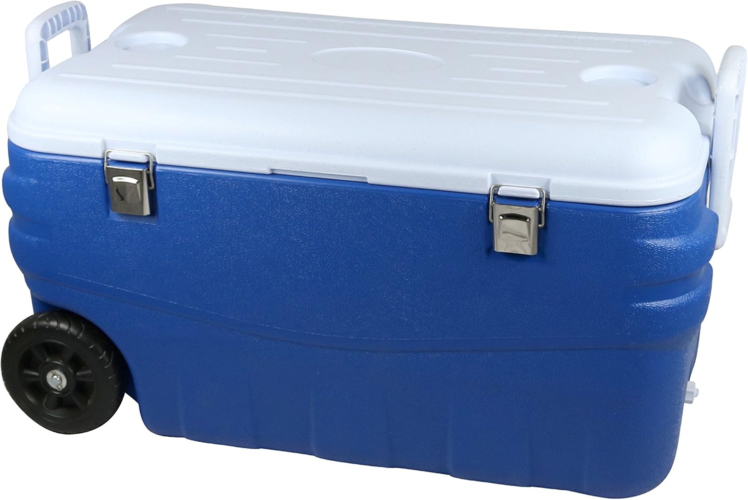 C.A.O - - Glacières rigides en HDPE+PU Foaming+PP - Couleur Bleu/Blanc