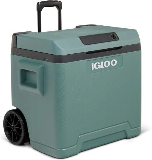 Glacière électrique Vert M 12/230 V