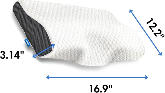 71xGlzpFRTL._AC_SL1500_