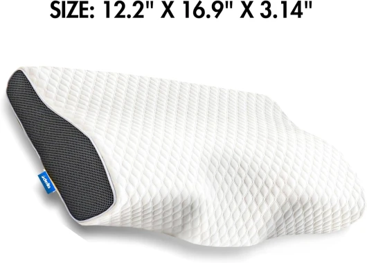 71vvp-FZBjL._AC_SL1500_