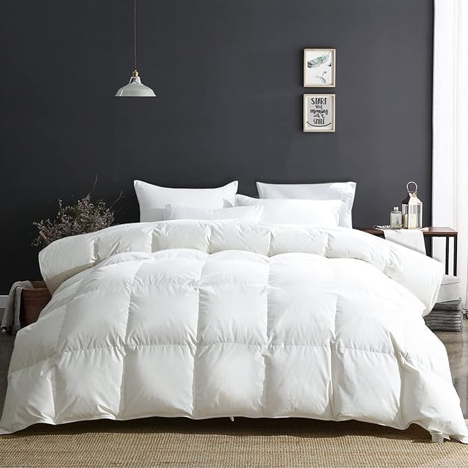 Édredon en Duvet d'oie et Plumes - Chaude 4 Saisons - 2 Personnes 220 x 240 cm - 100% Coton avec 8 Onglets d'angle - Blanc 220x240 cm Blanc