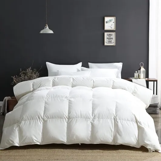 Édredon en Duvet d'oie et Plumes - Chaude 4 Saisons - 2 Personnes 220 x 240 cm - 100% Coton avec 8 Onglets d'angle - Blanc 220x240 cm Blanc