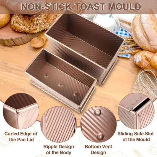 81dl9jjsHDL._AC_SL1500_