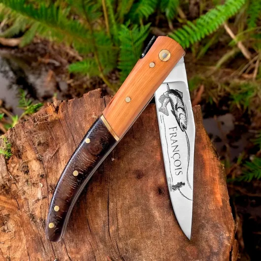 81zhh5xlPNL._AC_SL1500_