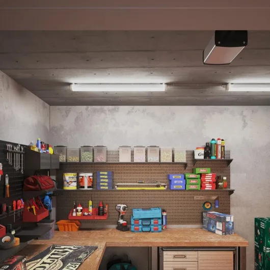 61b7Q0x6TwL._AC_SL1000_