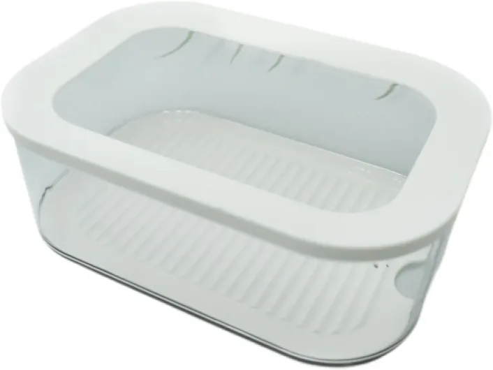 MagiDeal Boîte de Conservation des Aliments pour charcuterie, boîte de Conservation des Aliments, boîte de Conservation du Fromage pour réfrigérateur,