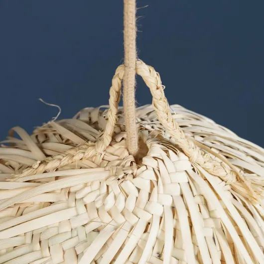 81D5dBE73RL._SL1500_