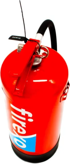 61bpl7VingL._AC_SL1500_