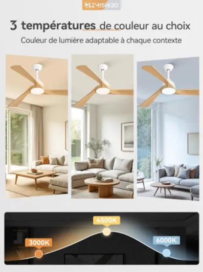 7102j1QalZL._AC_SL1500_