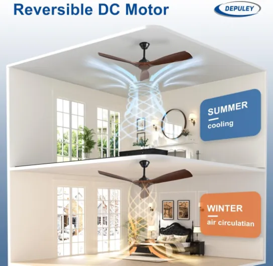 71gGe48XECL._AC_SL1500_