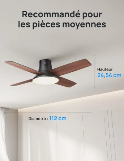 71it cgWRrL._AC_SL1500_