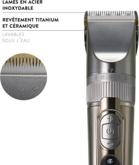 71y-Wc0CX0L._AC_SL1500_