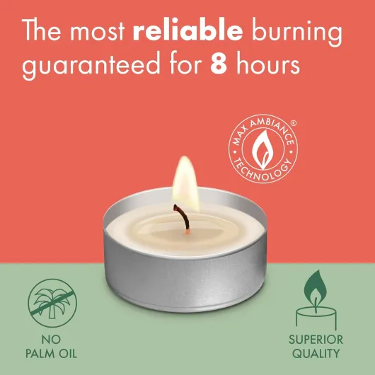 71boW0J3yfL._AC_SL1500_