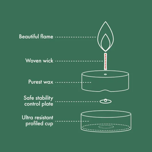 61XMukWLtFL._AC_SL1500_