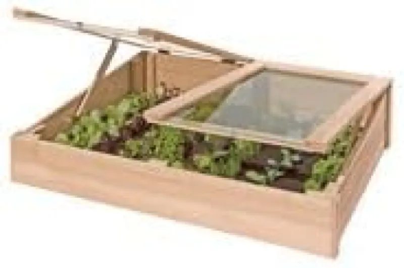 Gartenwelt Riegelsberger Serre de jardin en bois de mélèze 119 x 80 x 21/30 cm 115x80 cm Larice