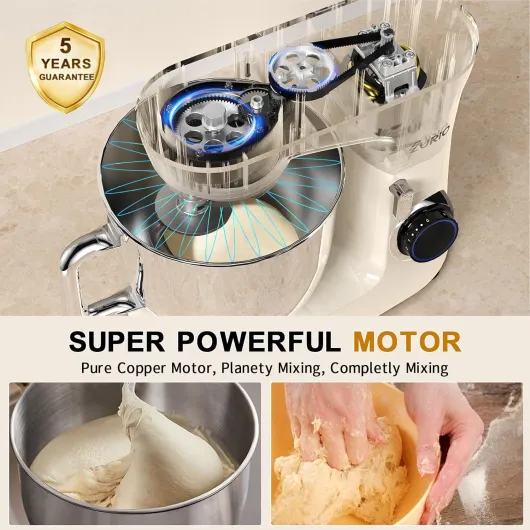 81lXZaMoXkL._AC_SL1500_