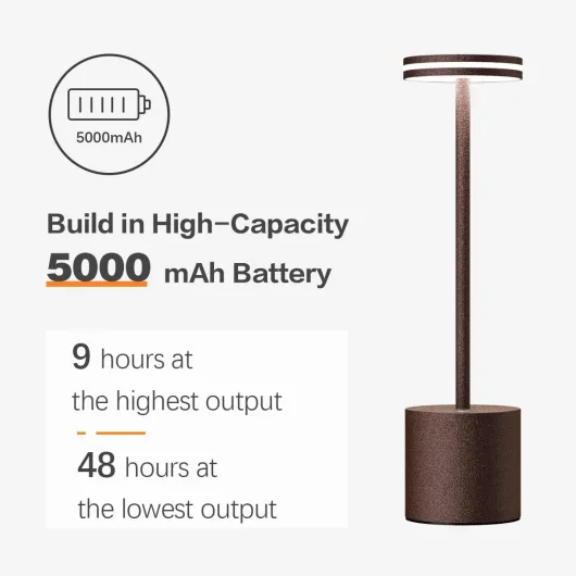 613-rMll0wL._AC_SL1200_