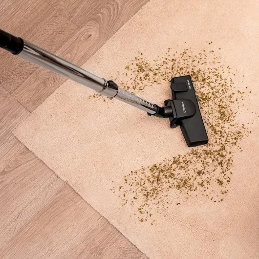 71pr4gINusL._AC_SL1000_