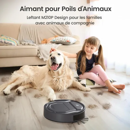 Aspirateur Robot, Mince Silencieux Connecté WiFi-Bluetooth-Alexa-App, 6 Modes de Nettoyage, Auto-Charge, 120min d'Autonomie, Idéal pour Poils d'animaux Sols Tapis, M210P Girs M210P Gris