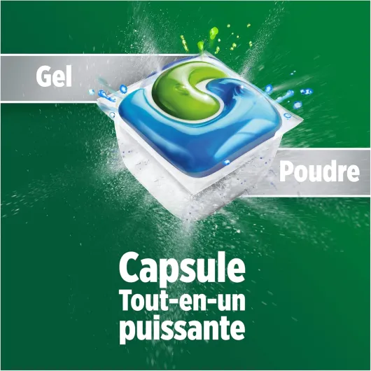 81Z6BWL9CiL._AC_SL1500_