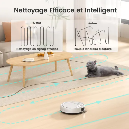 7169b18uJuL._AC_SL1500_