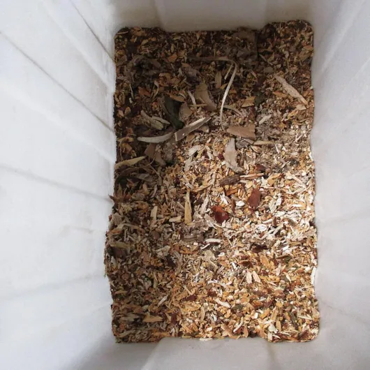 81EiCvcguRL._AC_SL1500_