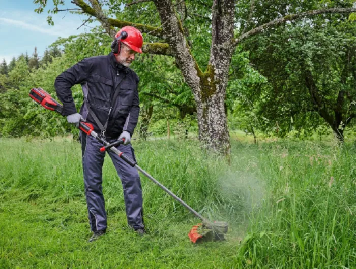 91Wv4 XBVsL._AC_SL1500_