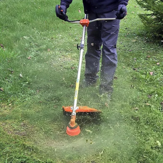 81CfSkZ97RL._AC_SL1000_